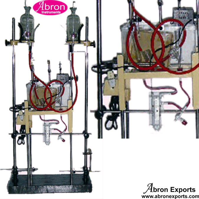 Pharmacy Mamalian Heart Perfusion Apparatus Pharmacy & Pharmacology Abron AB-2562 